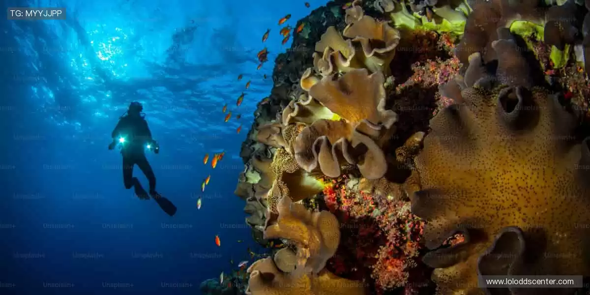 🎉狂欢盛宴，尽在眼前！⚡️万人呐喊，点燃赛场激情！